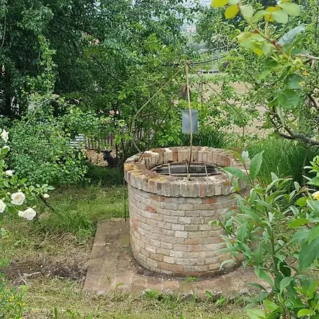 Regno: Elegante Con Piscina Immersa Nel Verde 빌라